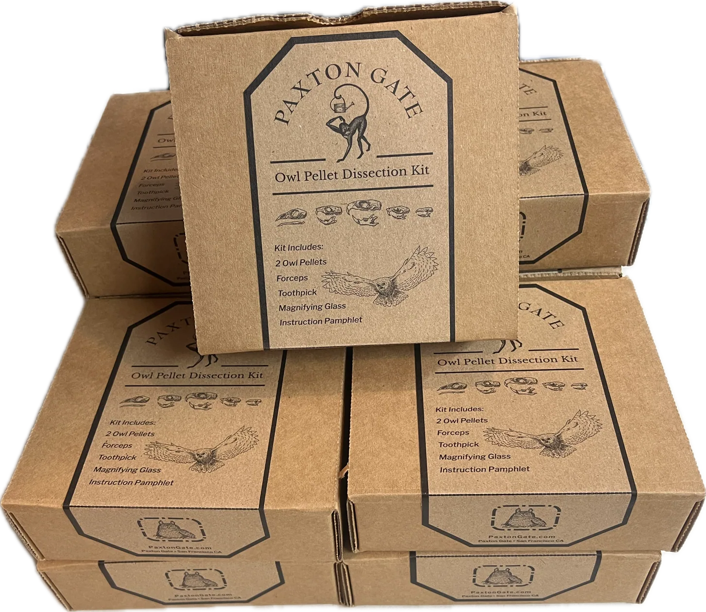 A stack of kraft-paper Owl Pellet Dissection Kit boxes with a black octagonal label, an illustrated owl in flight and a row of small rodent skulls