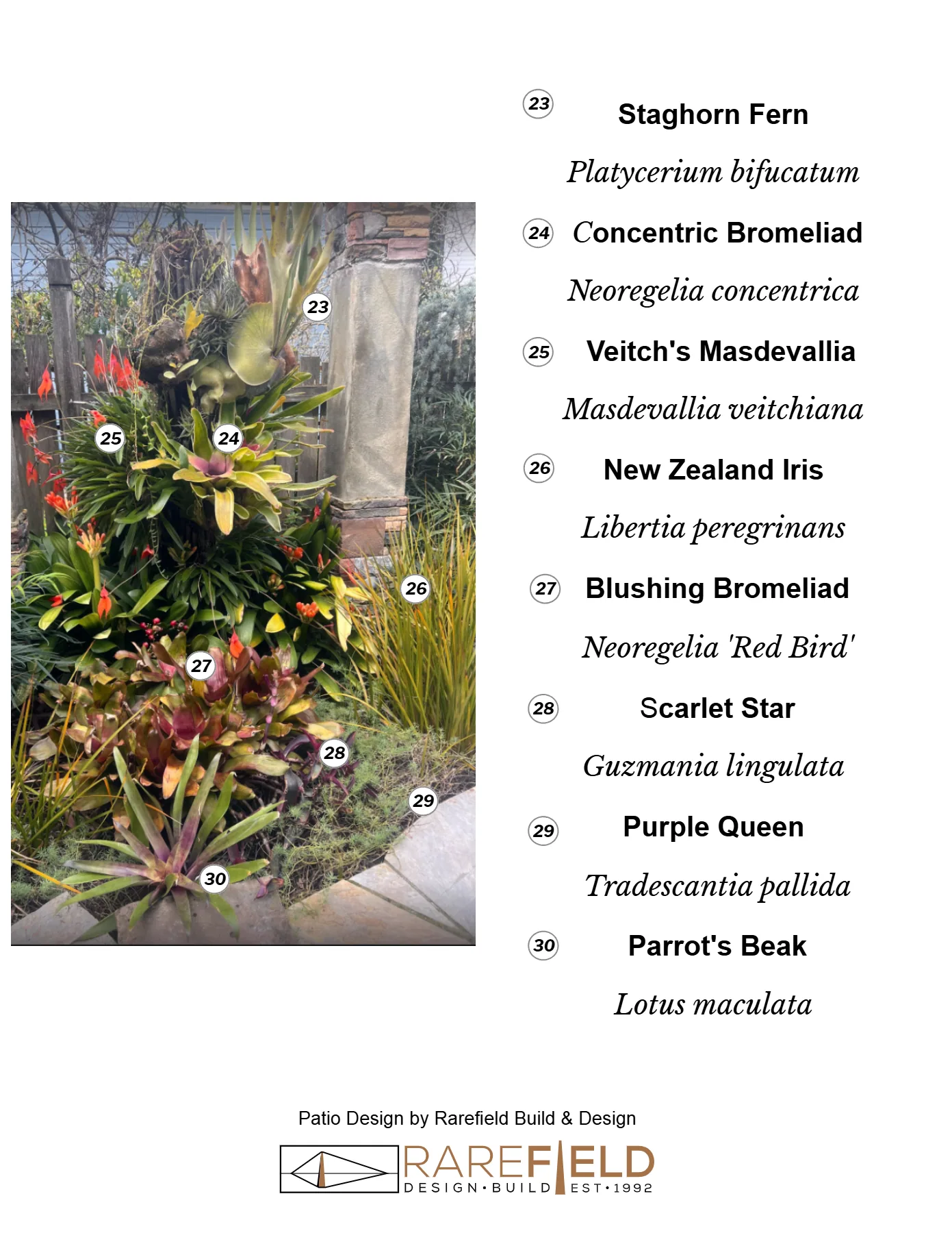 Patio plant guide, page 4